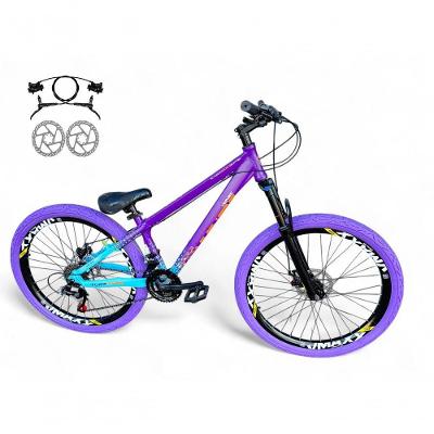 Bicicleta Aro 26 Vikingx Tuff X44 Freeride Freio Hidráulico 21v Aros Vmaxx Dh Pneu Flame - Roxo-azul