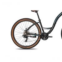 Bicicleta Colli Munique Aluminio Aro 29 Disco-shimano 21v Tamanho Do Quadro 17 Preto - 3