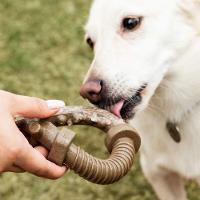 Mordedor Interativo E Texturizado Roscão De Bacon Germanhart - 3