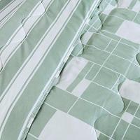 Edredom Cobertor Belle King 400 Fios Dupla Face Estampado Quadriculado Verde - 4