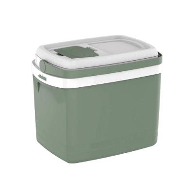 Caixa Termica Cooler 32 L Cores Bebidas Alça Soprano Verde