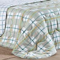 Edredom Cobertor Belle Queen 400 Fios Dupla Face Estampado Grid Xadrez Verde - 3