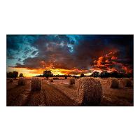 Monitor Profissional Samsung 46" Vídeowall Lh46vmbubgbxzd - 2