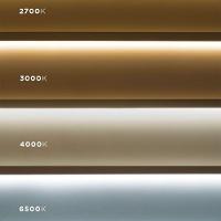 Fita De Led 20w 240 Leds/m 12v Taschibra Com 5 Metros 6500k Frio - 6