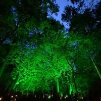 Kit 5 Refletores Taschibra Led Tr Slim 50w Verde Branco Bivolt - 2