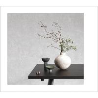 Papel De Parede Brut Aspecto Cimenticio Cinza Bt2021202 - 1