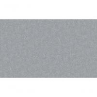 Papel De Parede Brut Aspecto Cimenticio Cinza Bt2021202 - 2