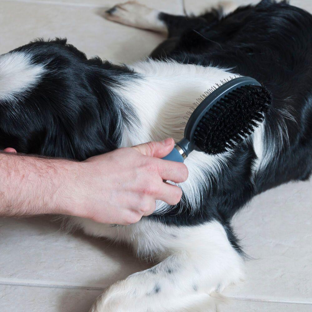 Rasqueadeira Profissional Dupla Para Remoção De Nós Em Gatos - Tamanho M - 2