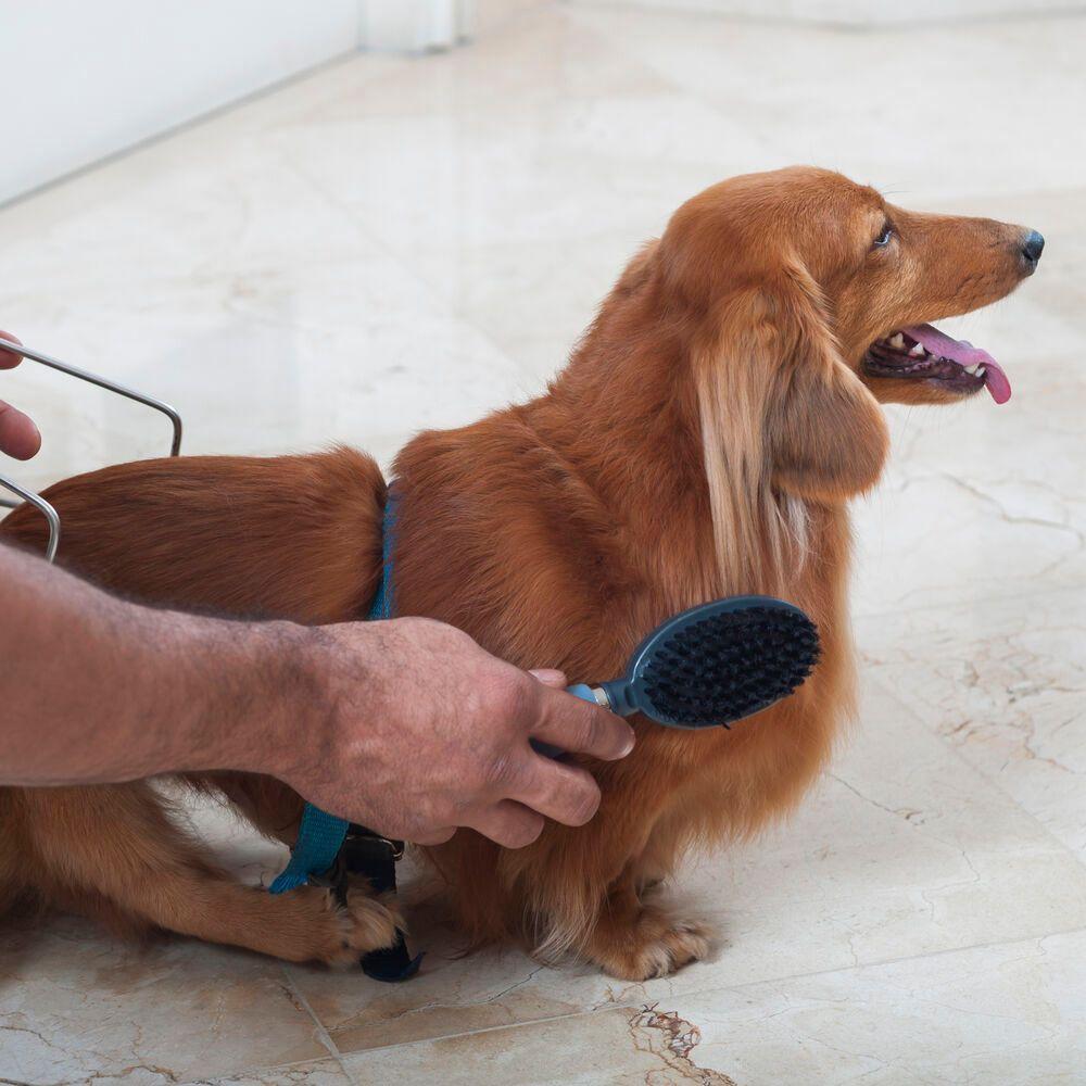 Rasqueadeira Profissional Dupla Para Remoção De Nós Em Gatos - Tamanho M - 3