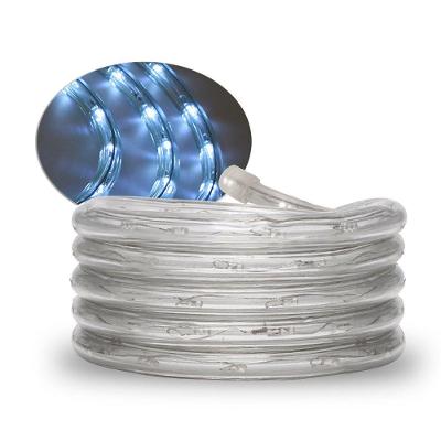 Corda Luminosa Taschibra Led Pro 13mm 2 Fios 30 Leds 110v 100 Metros 6500k Frio
