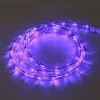 Corda Luminosa Taschibra Led Pro 13mm 2 Fios 30 Leds 110v 100 Metros Violeta - 2