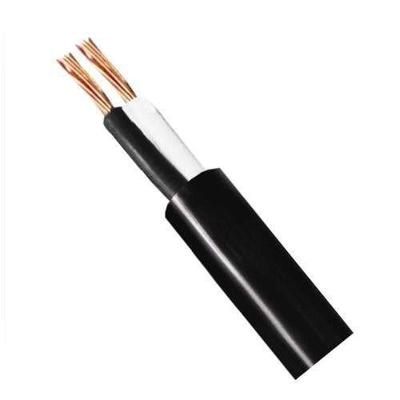 Cabo Flex 2 X 2,5mm - 100 Metros - Ideal Para Eletrodomésticos E Ferramentas