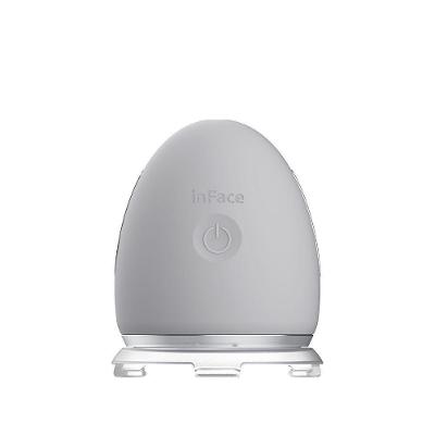 Reparador Facial Por Ionizacao Inface Cinza