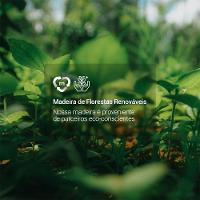 Armário Aéreo Com Nicho Aberto 60cm Branco Emilly Madesa - 5