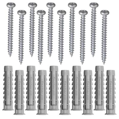 Cartela Com Buchas De Nylon Sx 6x30mm E Parafusos Cabeça Panela Com 10 Peças - 600221 - Fischer