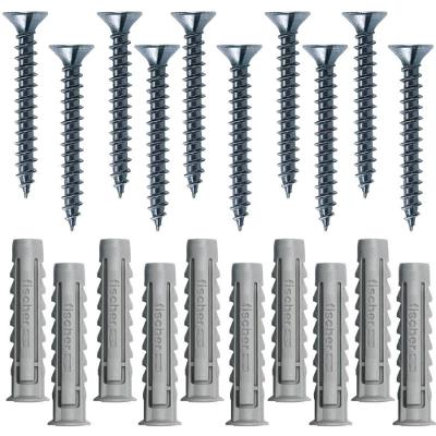 Cartela Com Buchas De Nylon Sx 6x30mm E Parafusos Cabeça Chata Com 10 Peças - 603053 - Fischer