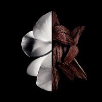 Givenchy Gentleman Boisée Eau De Parfum - Perfume Masculino 60ml - 5