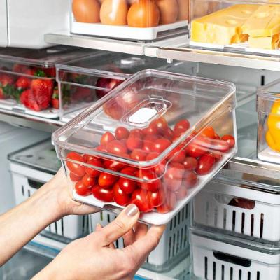 Organizador Acrílico Para Geladeira Com Tampa - 2,2l Clear Fresh