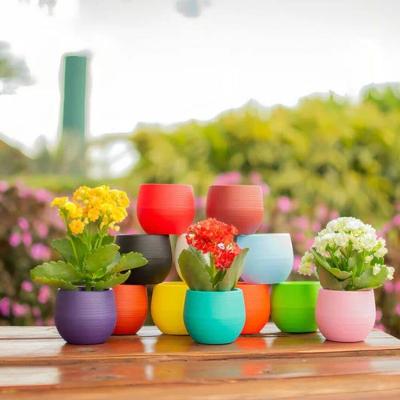 Vaso Baby Ball Vermelho - All Garden Vaso Babyball Vermelho All Garden