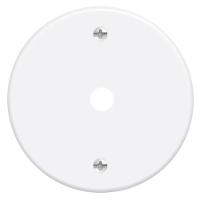 Placa Espelho 3"" F6 Redonda Com Furo 10mm Blanc - 0451 - Fame Placa Espelho Redonda C-furo 10mm Blanc* 451 Fame - 1