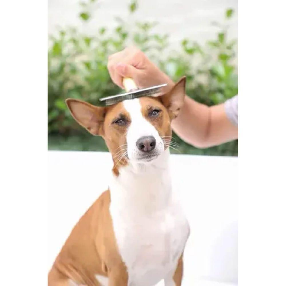 Rasqueadeira De Madeira Profissional Tamanho 4 Para Pets - 70188 - Chalesco - 2