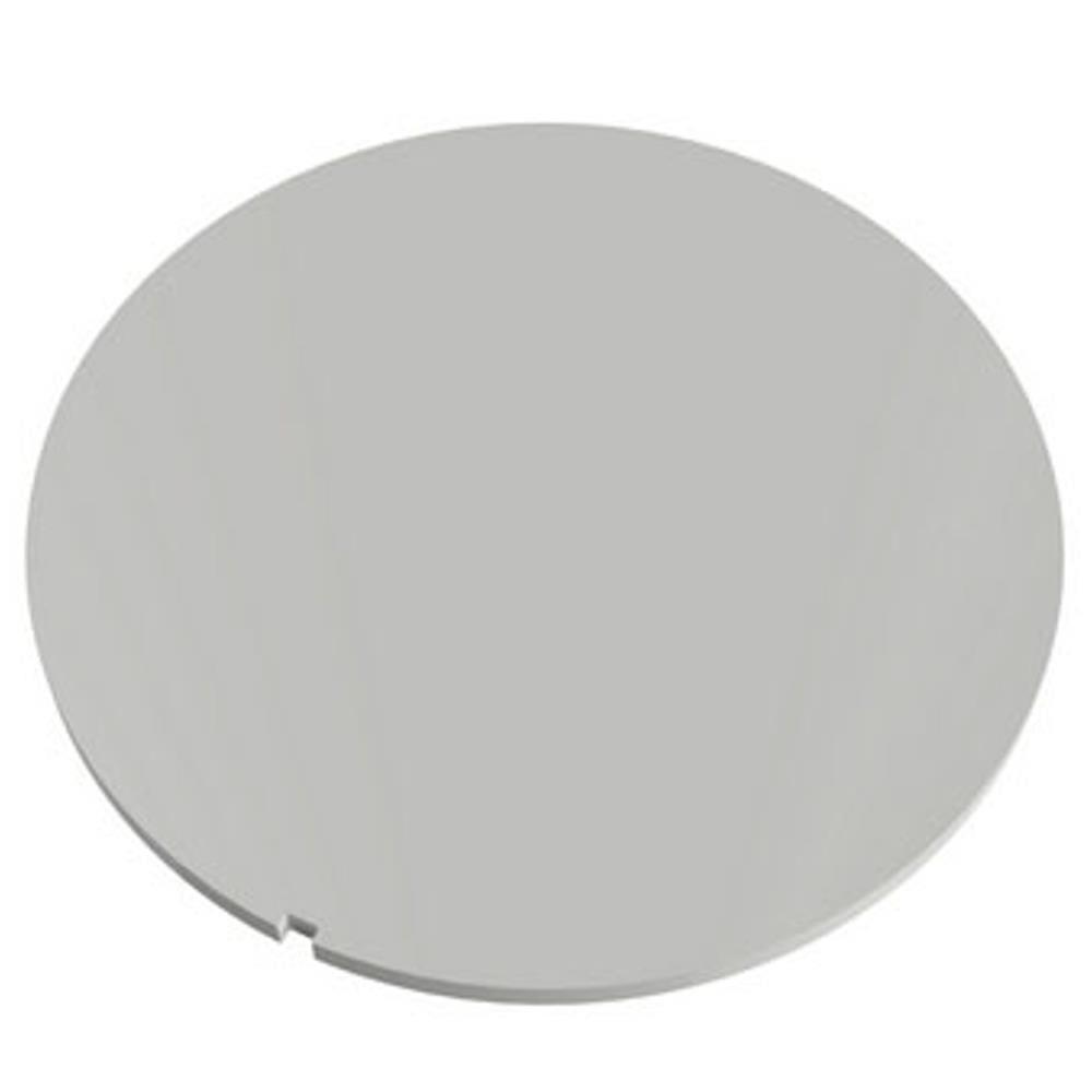 Tampa Cega Redonda Branca 100mm - 27671004 - Tigre Tampa Cega Redonda Branca 100mm Tigre 27671004 - 1