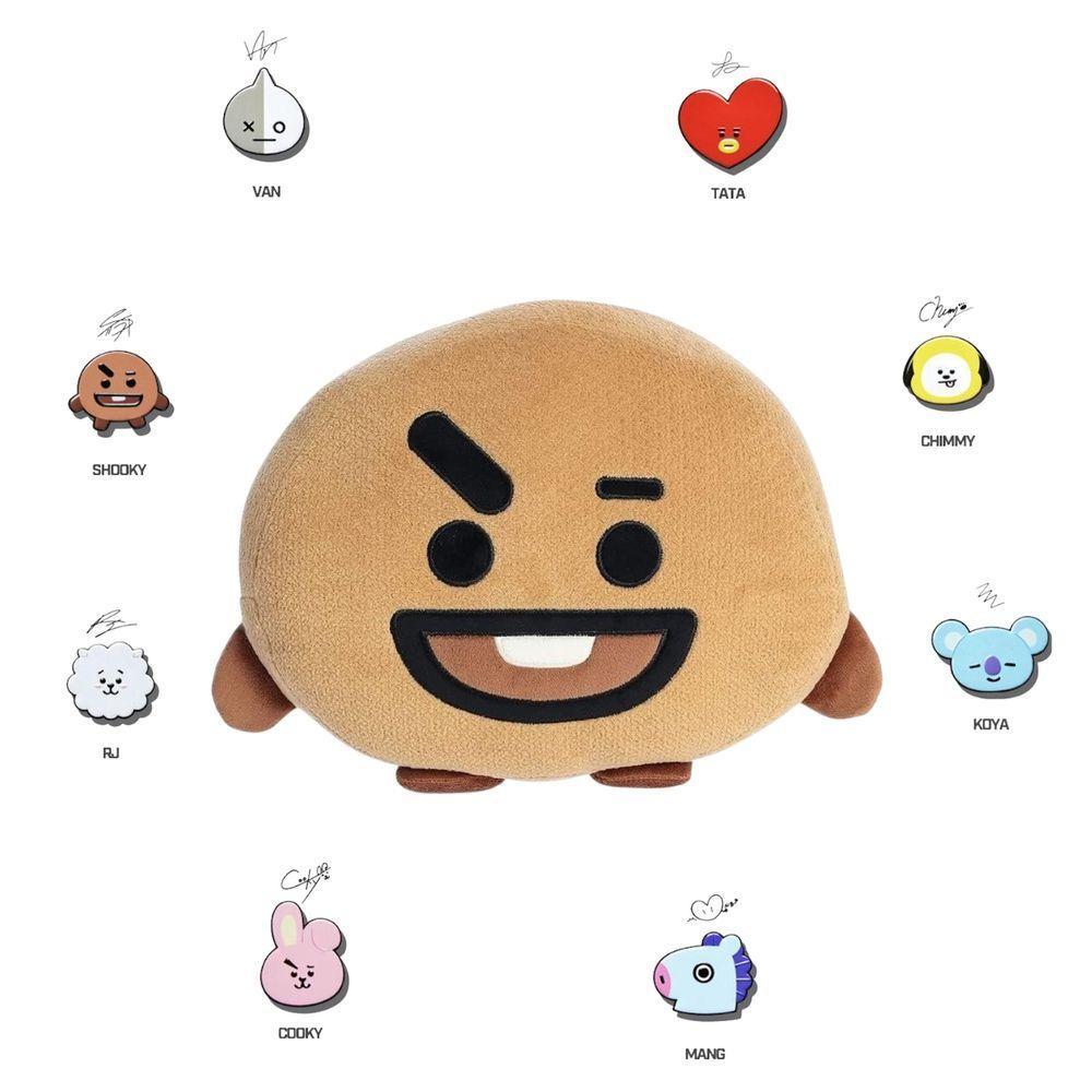 Almofada Com Manta Bt21 Presente K-pop Bts Perfeito Shooky Suga - 1