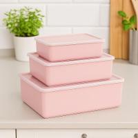 Kit 3 Potes Conjunto Multiuso Cozinha Freezer Micro-ondas Porta Alimentos Frutas Academia Trabalho Escola Rosa - 5