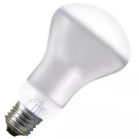 Lâmpada Para Spot R63 40 Watts 220 Volts - 8548 - Brasfort - 1