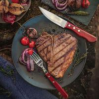 Jogo Para Churrasco Jumbo Polly Vermelho - 21198708 - Tramontina Jogo P- Churrasco Jumbo Polly Vermelho Tramontina - 4