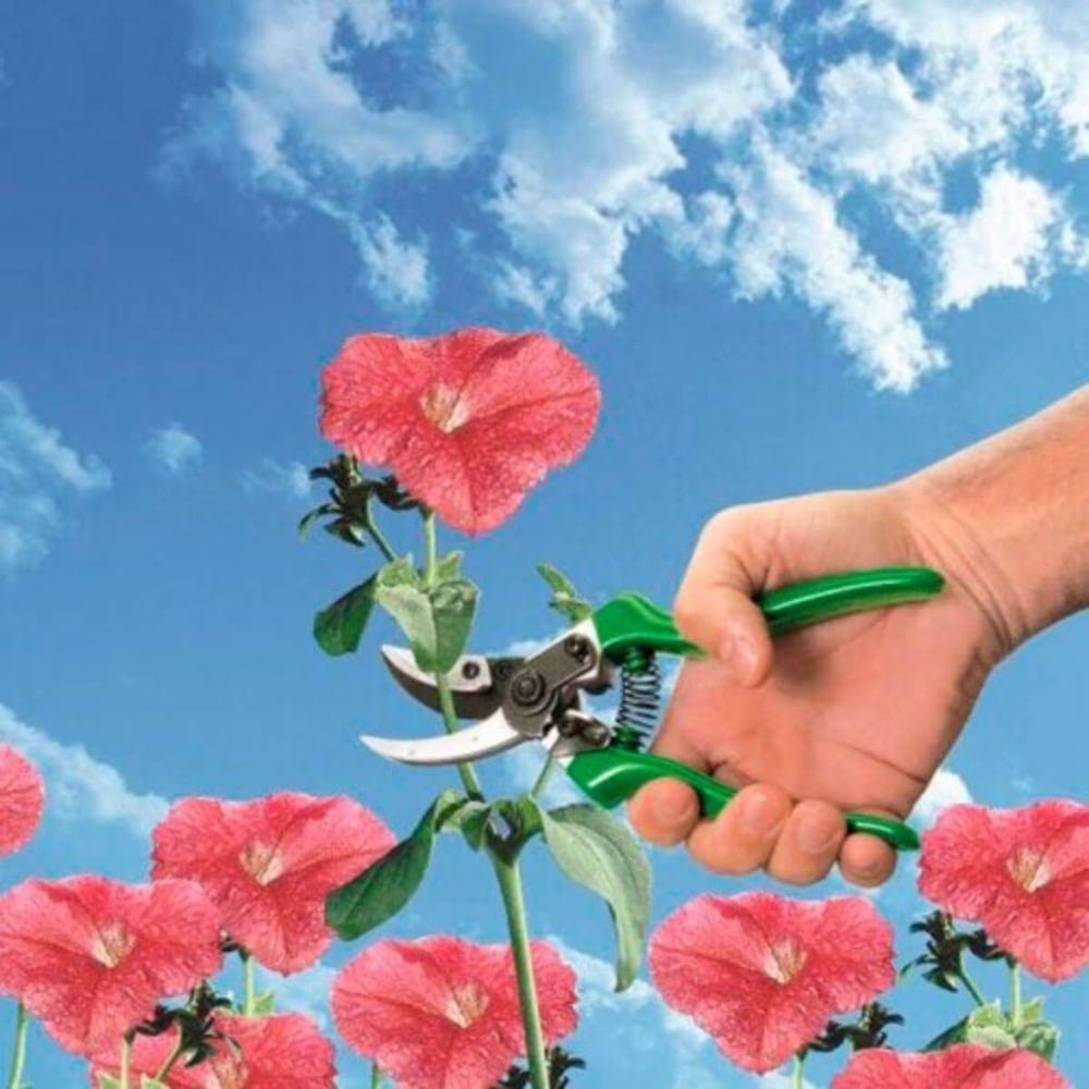 Tesoura Para Colheita Com Bypass 215mm Ts3748-1 - 3936013 - Trapp - 3