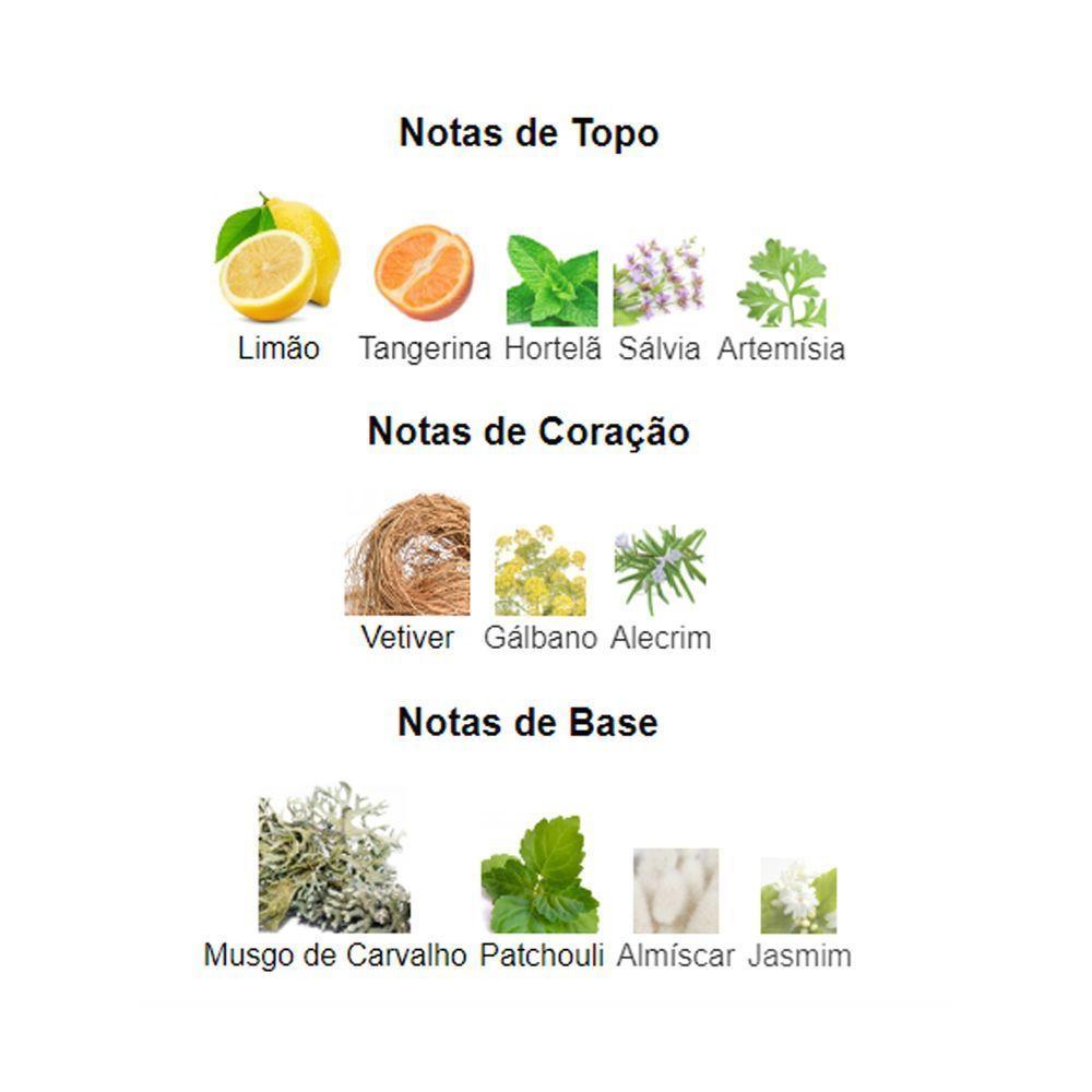 Perfume Udv Cinza Edt Ulric De Varens Masculino 100ml - 4