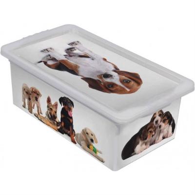 Caixa Organizadora 2,3 Litros Cães Branca - Or18l-06 - São Bernardo Caixa Org. Container 2,3l Caes Branca Or18l-06