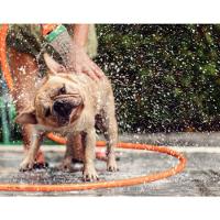 Mangueira Jardim Multi Com Engates Rápidos E Esguicho 25 Metros - 79212251 - Tramontina - 4