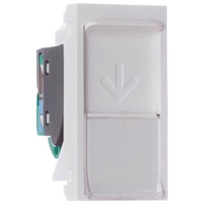 Módulo Tomada Rj45 8 Fios Tool Less Branco Orion - S70540004 - Schneider Modulo Tom.rj45 8fios Toolless 1m Bco Sc