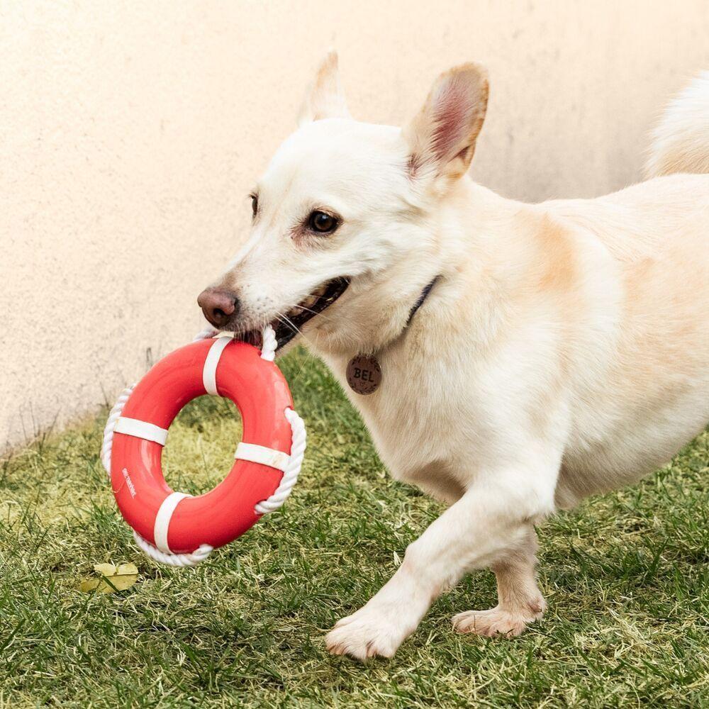 Flutuador Aquático Para Cães Com Corda - Diversão E Cuidados Com A Saúde Bucal - 2