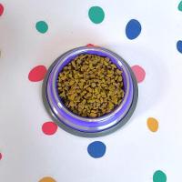 Conjunto Elegante De Comedouros Antiderrapantes Inox Roxo - Alimentação Segura E Prática!