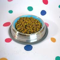 Comedouros Inox Azul Com Base De Silicone - Conforto E Estilo Para Seu Pet - 6