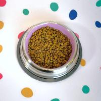 Comedouros Inox Premium Rosa 450ml - Antiderrapantes Para Pets Com Estilo E Conforto - 5