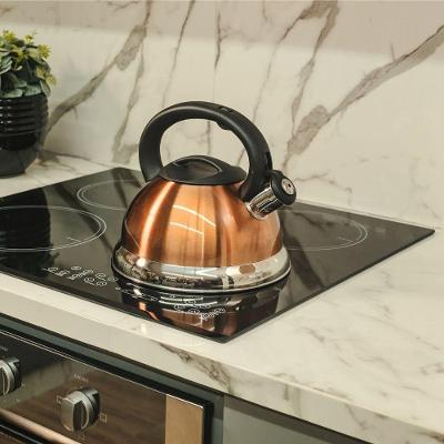 Chaleira Dourada Inox Com Apito E Fundo Duplo - Elegância E Praticidade Na Cozinha