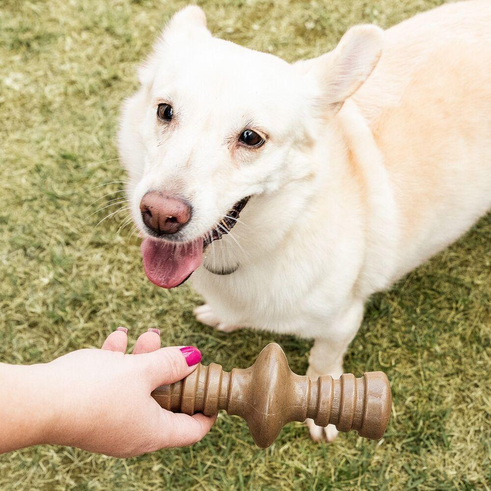 Mordedor Aromatizado De Churrasco Para Cães - Diversão E Sabor Em Cada Roer! - 3