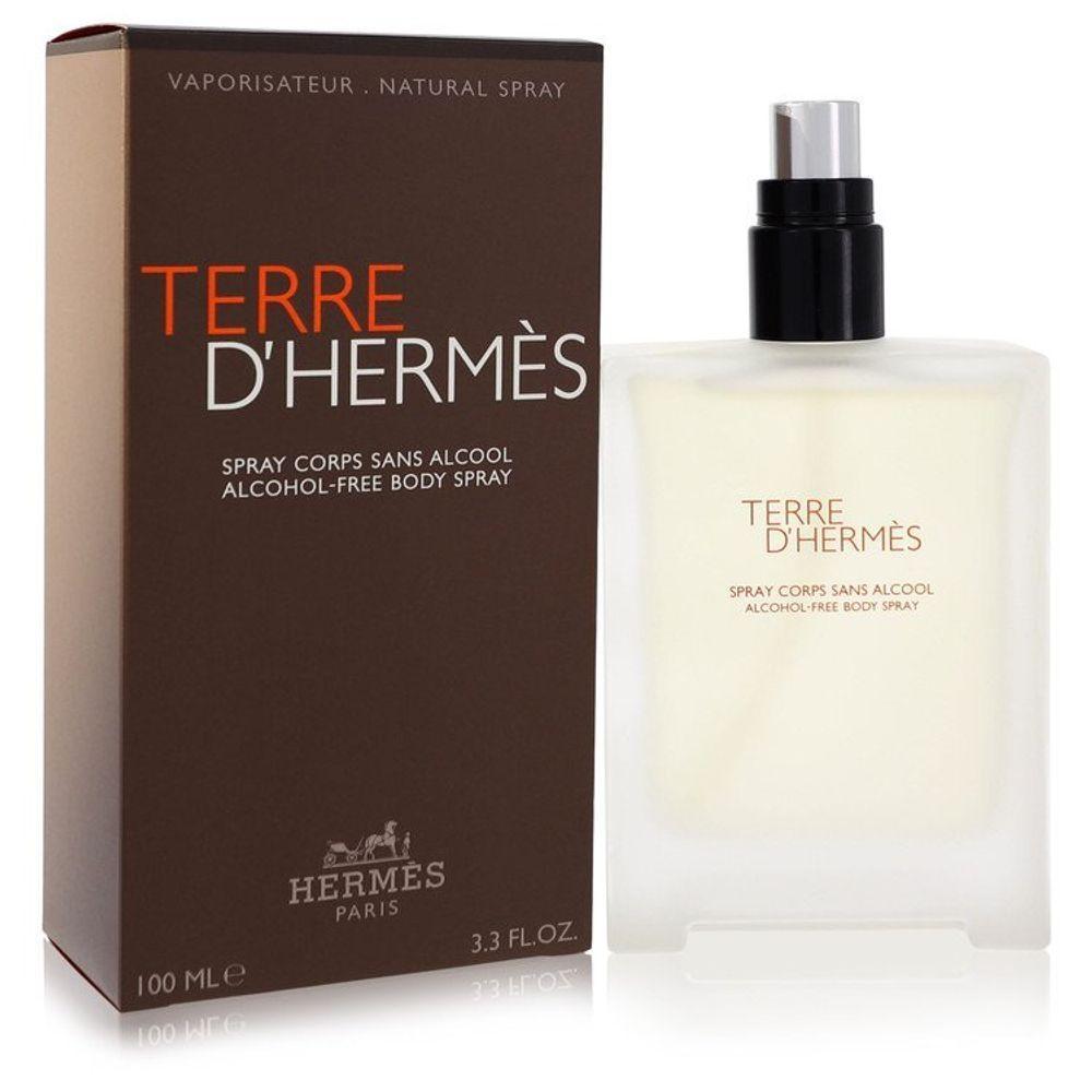 Perfume Masculino Terre D'hermes Hermes 100 Ml Desodorante - 1