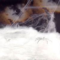 Teia De Aranha Branca Halloween 20g - 3