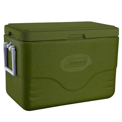 Caixa Térmica 26,5l Personal All Green Coleman
