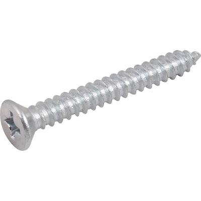 Parafuso Autoatarraxante 3,9x32 Phillips C- 20 Peças Vonder