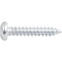 Parafuso Autoatarraxante 2,9x16 Phillips C/ 20 Peças Vonder - 1