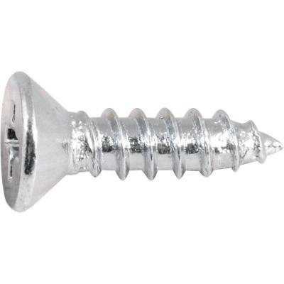 Parafuso Autoatarraxante 4,2x16 Phillips C/ 20 Peças Vonder