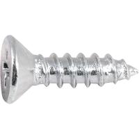 Parafuso Autoatarraxante 4,2x16 Phillips C/ 20 Peças Vonder - 1