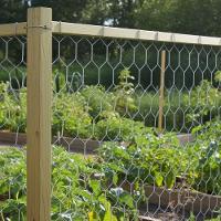 Tela Pinteiro Hexagonal 1,0 X 50 M Bwg24 Tradestar - 7