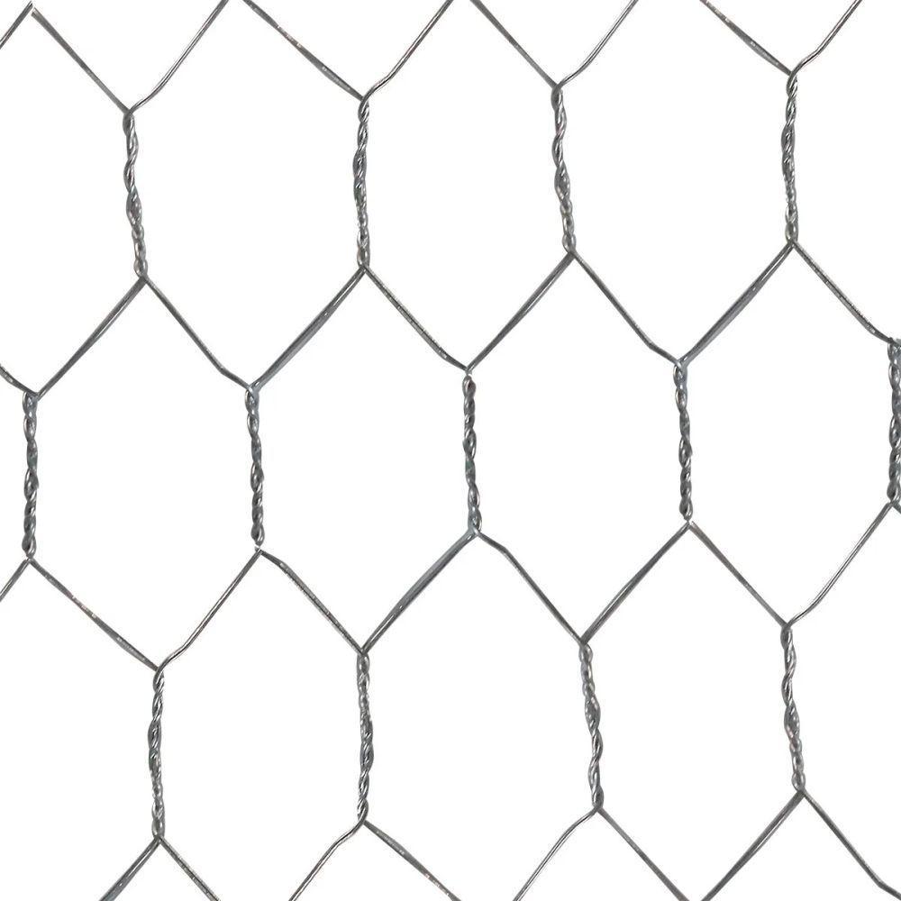 Tela Galinheiro Hexagonal 1,5 X 50m Bwg23 Tradestar - 1